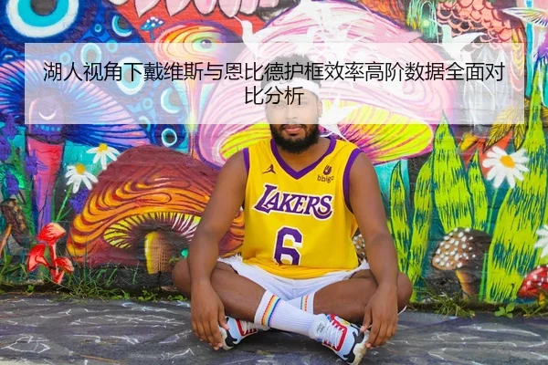 湖人视角下戴维斯与恩比德护框效率高阶数据全面对比分析